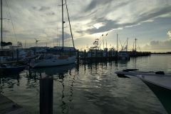 Key West Marina - 2017